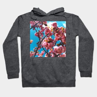 Commute in Bloom Hoodie